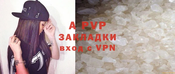 гидра Белокуриха