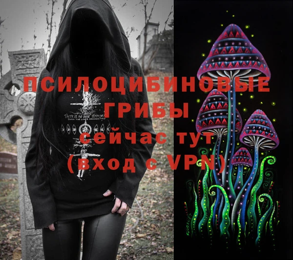 гидра Белокуриха