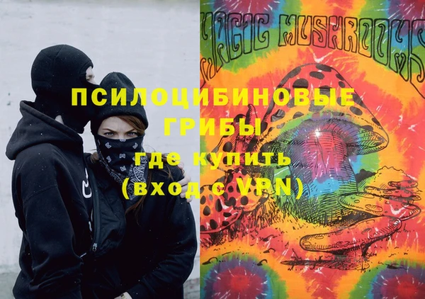 гидра Белокуриха