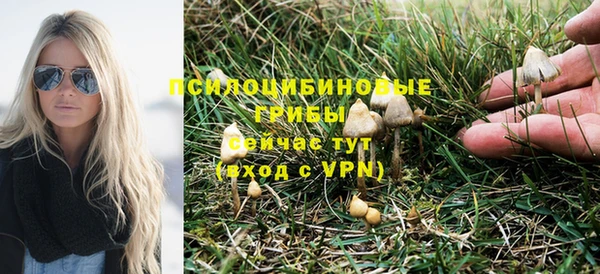 гидра Белоозёрский