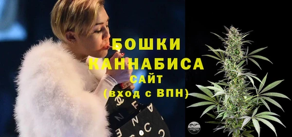 гидра Белоозёрский