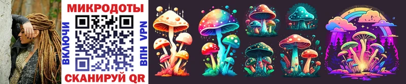Галлюциногенные грибы Psilocybe  Купить где  Мегион 