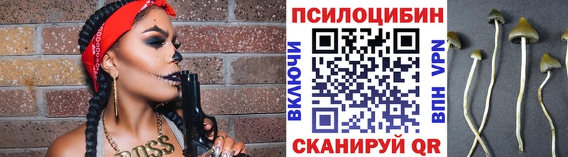 Галлюциногенные грибы Psilocybine cubensis Мегион
